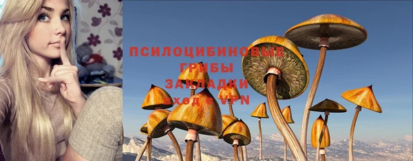 2c-b Алексеевка